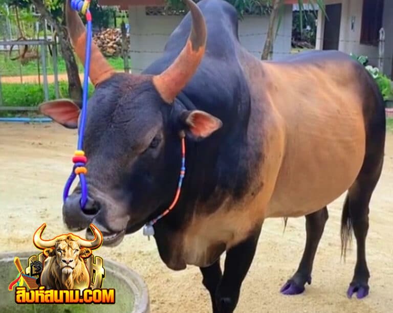 โคโหนดเพชรฆาตทายาทเก้าทัพ-(เจ้าพายุ)