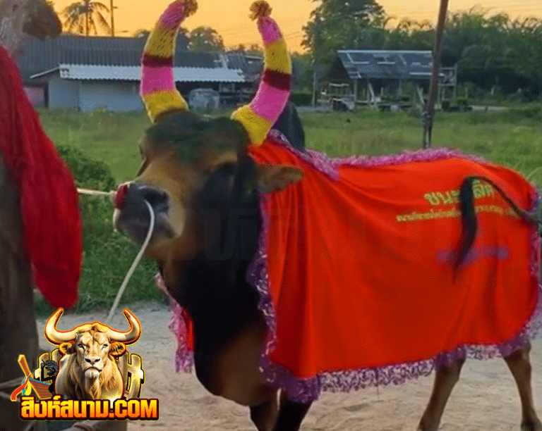 ลังสาดลูกเพชร