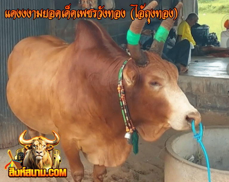 แดงงามยอดเด็ดเพชรวังทอง (ไอ้ถุงทอง)