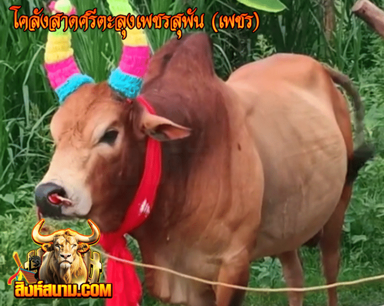 โคสังสาดศรีคะลุงเพรรสุพัน (เพชร)