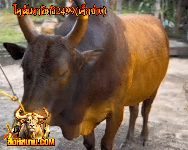 โคลันดาอิทธิ2499(เด็กช่าง)