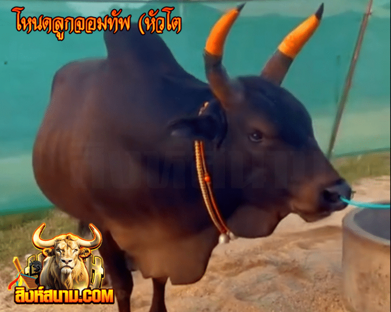 โหนดลูกออมทัพ (หัวโต)