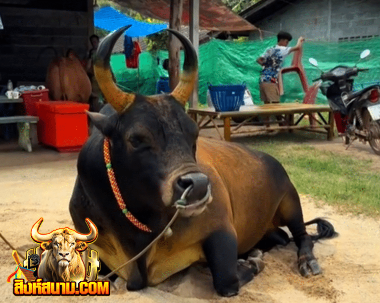 โหนดแสงมณี สิบแสน