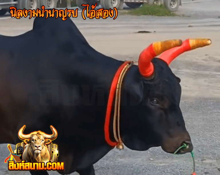 นิลงามนำนาญรบ (ไอ้สอง)