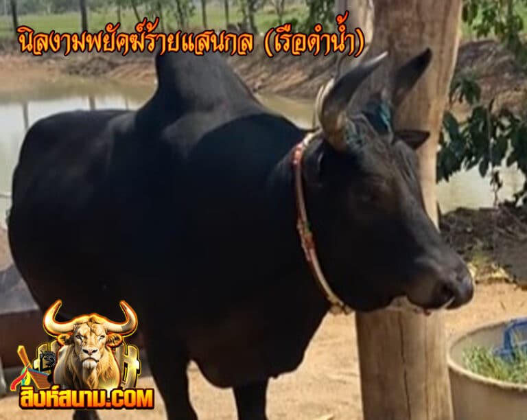นิลงามพยัคฆ์ร้ายแสนกล (เรือดำน้ำ) 1_0