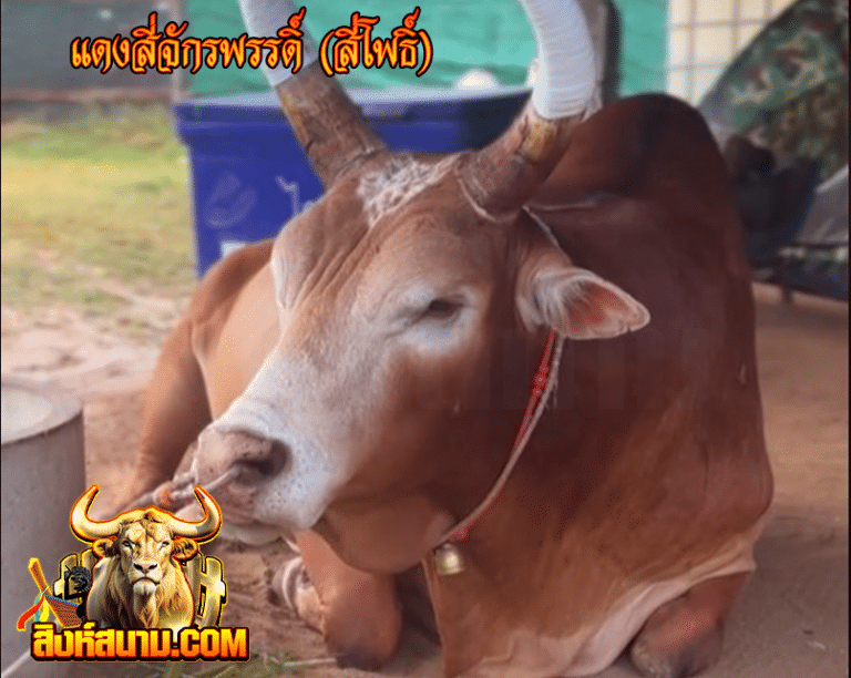แดงสี่จักรพรรดิ์ (สี่โพธิ์)_0