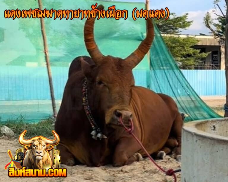 แดงเพชฌฆาตทายาทช้างเผือก-(มดแดง)
