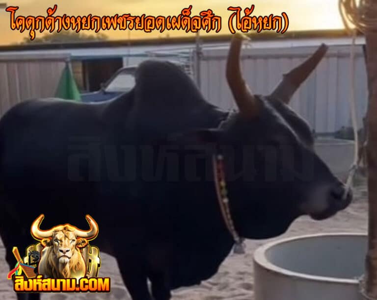 โคดุกด้างหยกเพชรยอดเผด็จศึก-(ไอ้หยก)