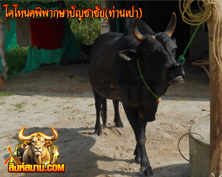 โหนดพิพากษาบัญชาชัย (ท่ายเปา)