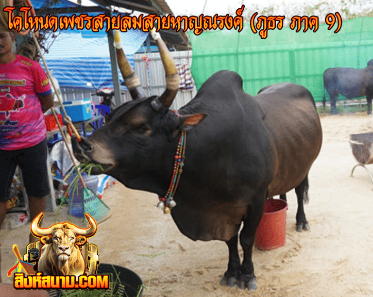 โคโหนดเพชรสายลมสายหาญณรงค์ (ภูธร ภาค 9)