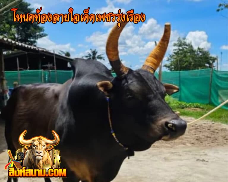 โหนดท้องลายใจเด็ดเพชรรุ่งเรือง111_0