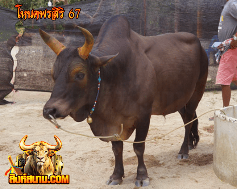 โหนดพรสิริ 67