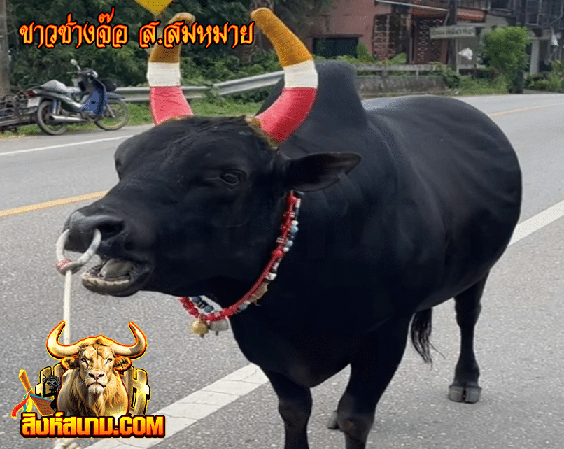 ขาวช่างจ๊อ ส.สมหมาย