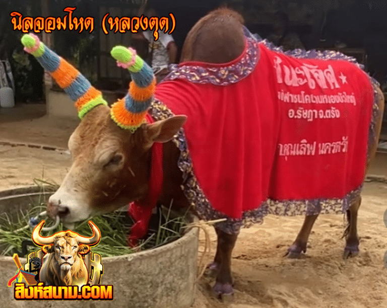นิลจอมโหด (หลวงตุด)