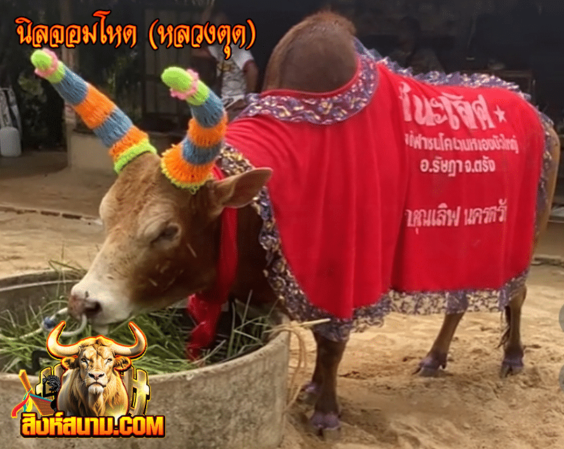 นิลจอมโหด (หลวงตุด)