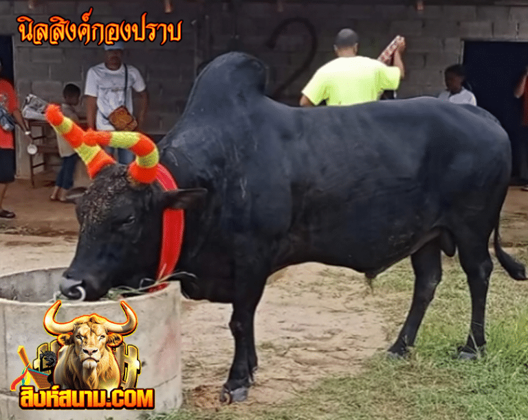 นิลสิงค์กองปราบ