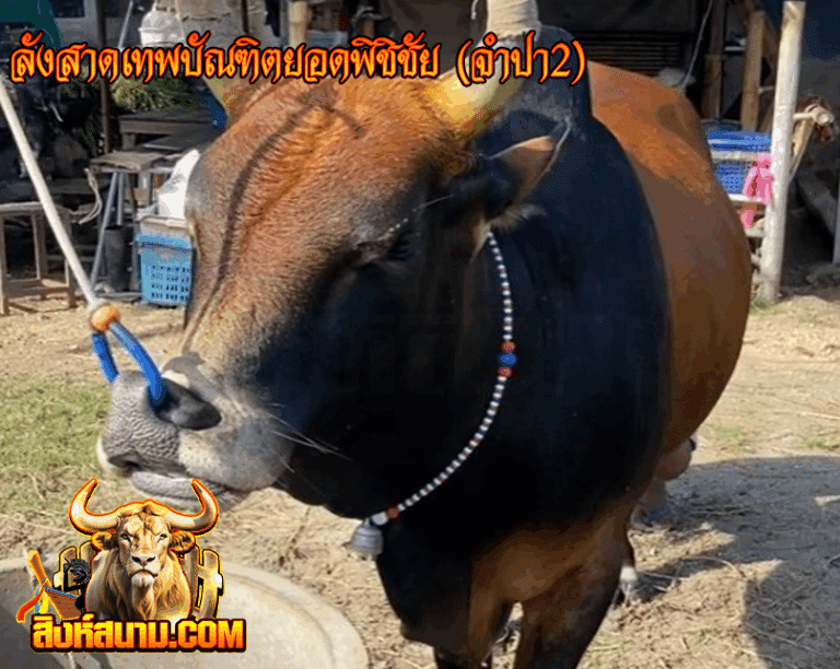 ลังสาดเทพบัณฑิตยอดพิชิชัย ( จำปา2)_0