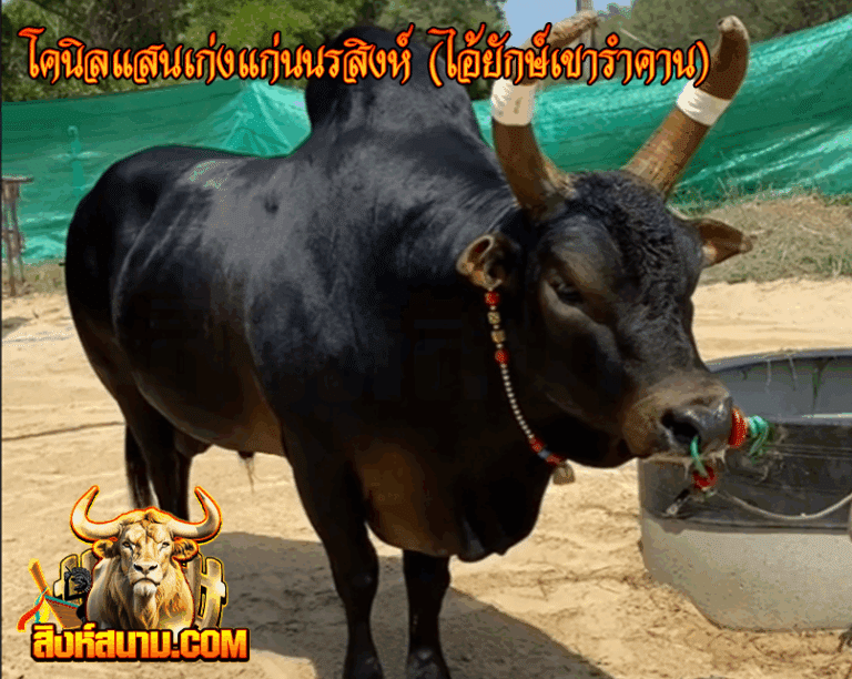 โคนิลแสนเก่งแก่นนรสิงห์(ไอ้ยักษ์เขารำคาน)