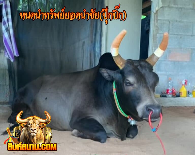 หนดนำทรัพย์ยอดนำชัย(ปุ๊กบิ๊ก)