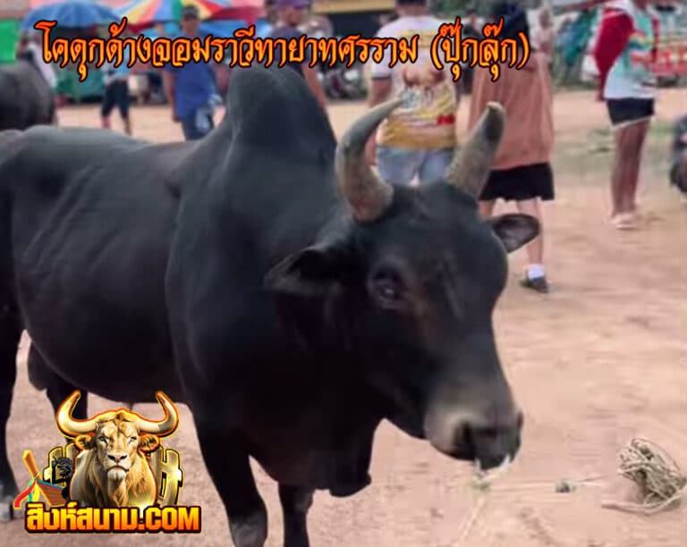 โคดุกด้างจอมราวีทายาทศรราม (ปุ๊กลุ๊ก)656_0
