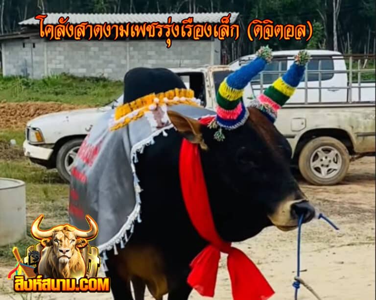 โคลังสาดงามเพชรรุ่งเรืองเล็ก (ดิจิตอล)333_0