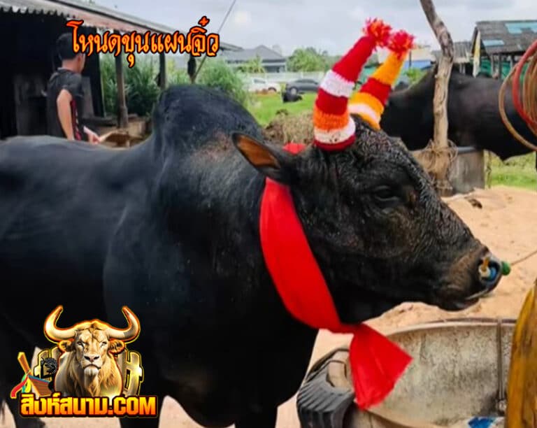 โหนดขุนแผนจิ๋ว223232_0