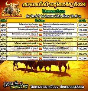 #ปฏิทินวัวชน #ปฏิทิน #ปฏิทินวัว #วัว #วัวชน #วัวชนวันนี้ #วัวชนล่าสุด #สิงห์สนาม #ดูวัวชน #วัวชนออนไลน์ #โปรแกรมวัวชน #วัวชนคู่เอก #ผลวัวชน #โปรแกมวัว #โปรแกรมวัวชน #วัวชนวันนี้ #วัว #วัวชนออนไลน์