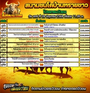 #ปฏิทินวัวชน #ปฏิทิน #ปฏิทินวัว #วัว #วัวชน #วัวชนวันนี้ #วัวชนล่าสุด #สิงห์สนาม #ดูวัวชน #วัวชนออนไลน์ #โปรแกรมวัวชน #วัวชนคู่เอก #ผลวัวชน #ทีเด็ดวัวชน #ดูวัวชน #วัวชนเงินล้าน