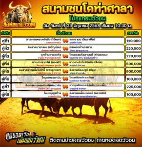 #ปฏิทินวัวชน #ปฏิทิน #ปฏิทินวัว #วัว #วัวชน #วัวชนวันนี้ #วัวชนล่าสุด #สิงห์สนาม #ดูวัวชน #วัวชนออนไลน์ #โปรแกรมวัวชน #วัวชนคู่เอก #ผลวัวชน #โปรแกมวัว #โปรแกรมวัวชน #วัวชนวันนี้ #วัว #วัวชนออนไลน์