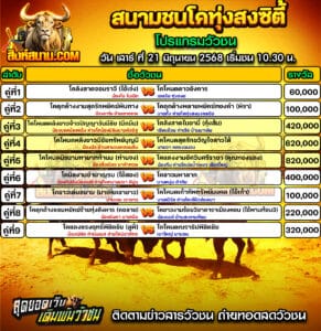 #ปฏิทินวัวชน #ปฏิทิน #ปฏิทินวัว #วัว #วัวชน #วัวชนวันนี้ #วัวชนล่าสุด #สิงห์สนาม #ดูวัวชน #วัวชนออนไลน์ #โปรแกรมวัวชน #วัวชนคู่เอก #ผลวัวชน #โปรแกมวัว #โปรแกรมวัวชน #วัวชนวันนี้ #วัว #วัวชนออนไลน์