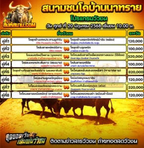 #ปฏิทินวัวชน #ปฏิทิน #ปฏิทินวัว #วัว #วัวชน #วัวชนวันนี้ #วัวชนล่าสุด #สิงห์สนาม #ดูวัวชน #วัวชนออนไลน์ #โปรแกรมวัวชน #วัวชนคู่เอก #ผลวัวชน #โปรแกมวัว #โปรแกรมวัวชน #วัวชนวันนี้ #วัว #วัวชนออนไลน์