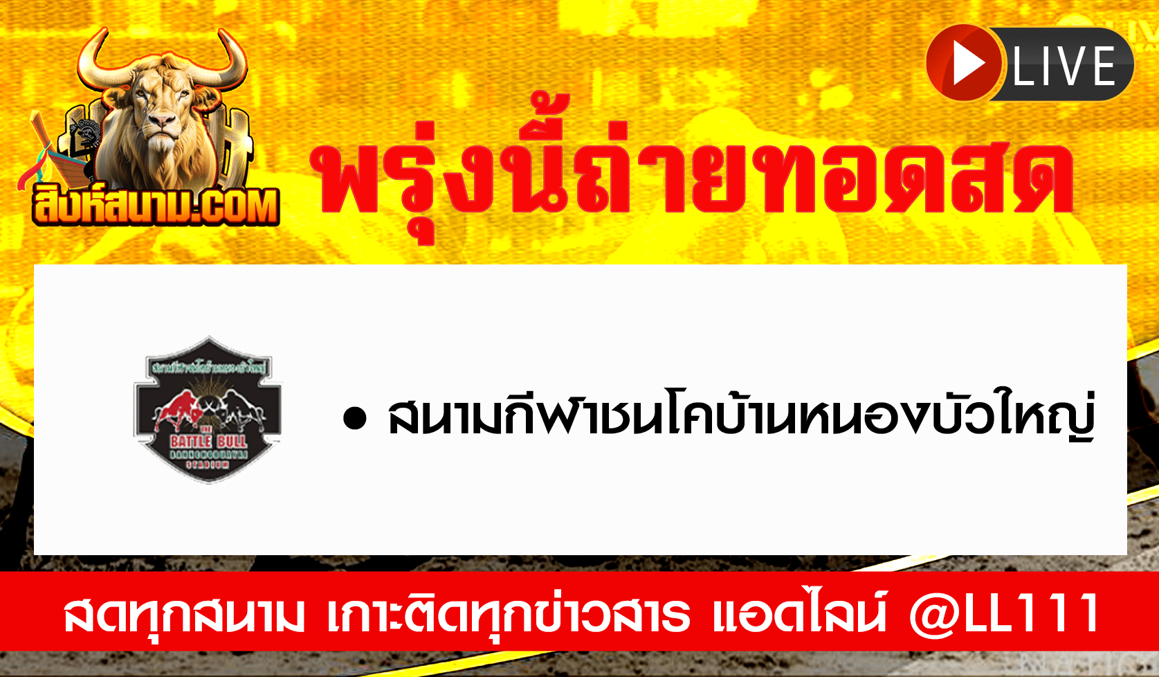 ถ่ายทอดสดวัว-31