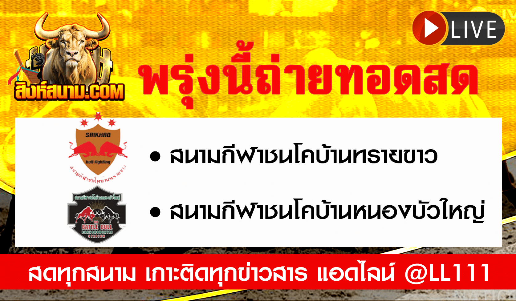 ถ่ายทอดสดวัว30