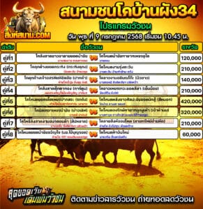#ปฏิทินวัวชน #ปฏิทิน #ปฏิทินวัว #วัว #วัวชน #วัวชนวันนี้ #วัวชนล่าสุด #สิงห์สนาม #ดูวัวชน #วัวชนออนไลน์ #โปรแกรมวัวชน #วัวชนคู่เอก #ผลวัวชน #ทีเด็ดวัวชน #ดูวัวชน #วัวชนเงินล้าน #สิงห์สนามวัวชน #ทีเด็ดวัว #ทีเด็ดวัวชน