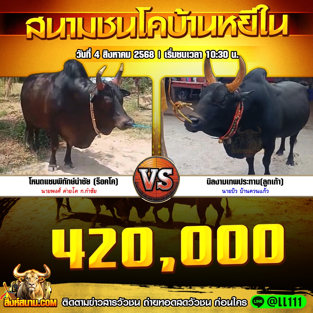 คู่เอกวัวชนรายวัน 222