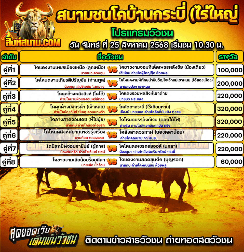 คู่โปรแกรมกระบี่ีไร้ใหญ่