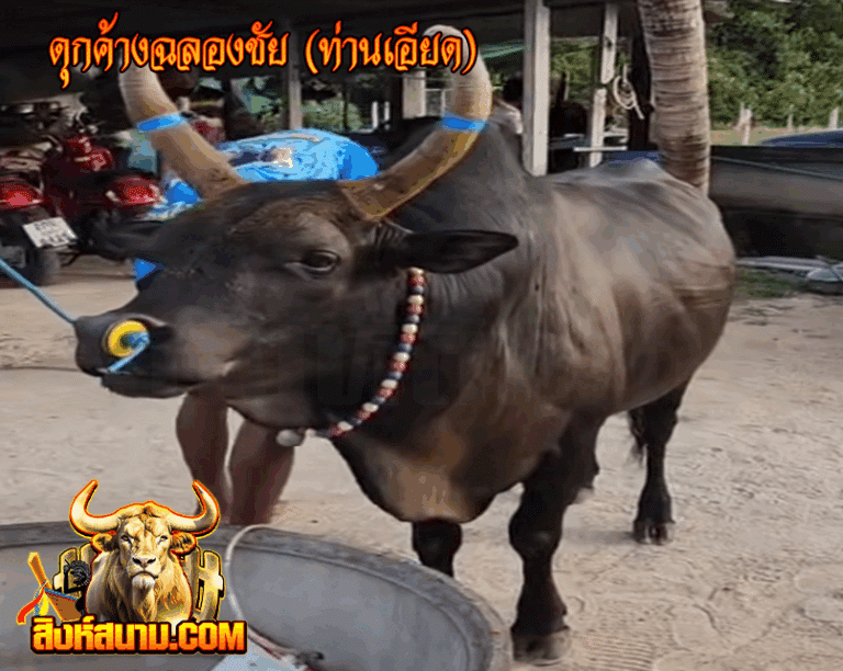 ดุกค้างฉลองชัย (ท่านเอียด)_0