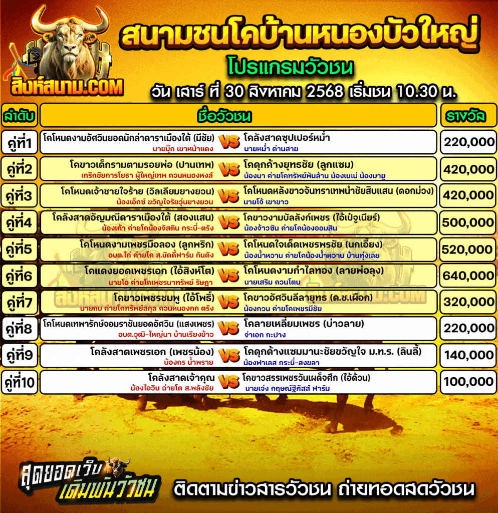 บ้านหนองบัวใหญ่30