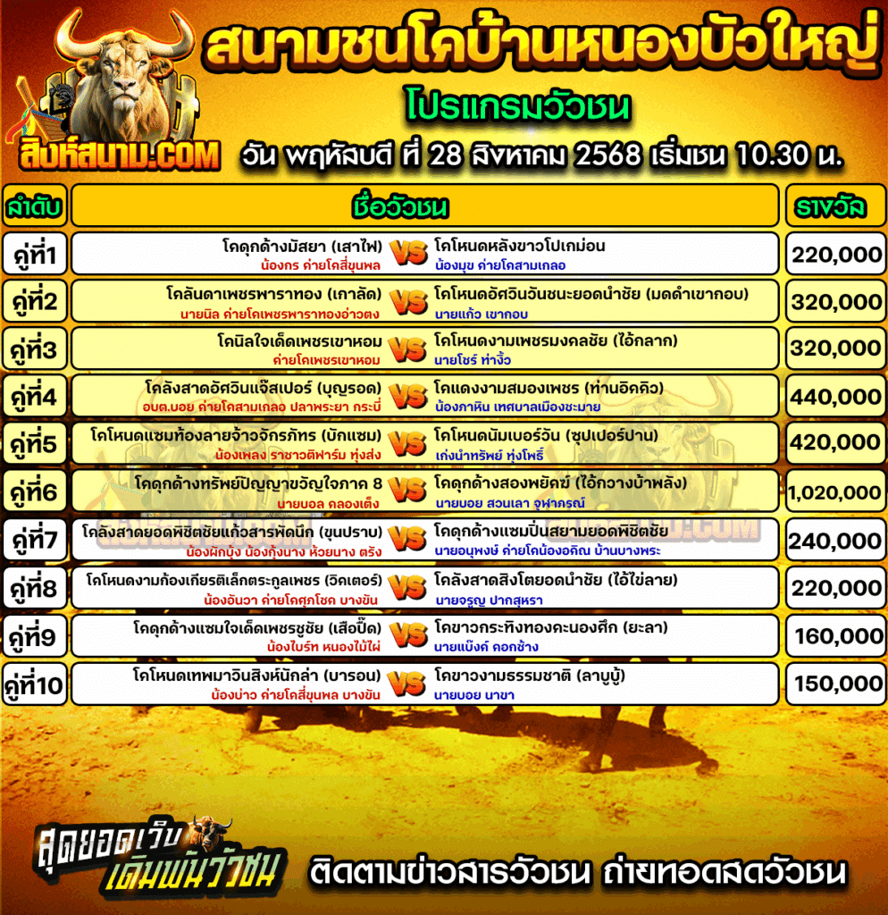 โปรแกรมหนองบัวใหญ่