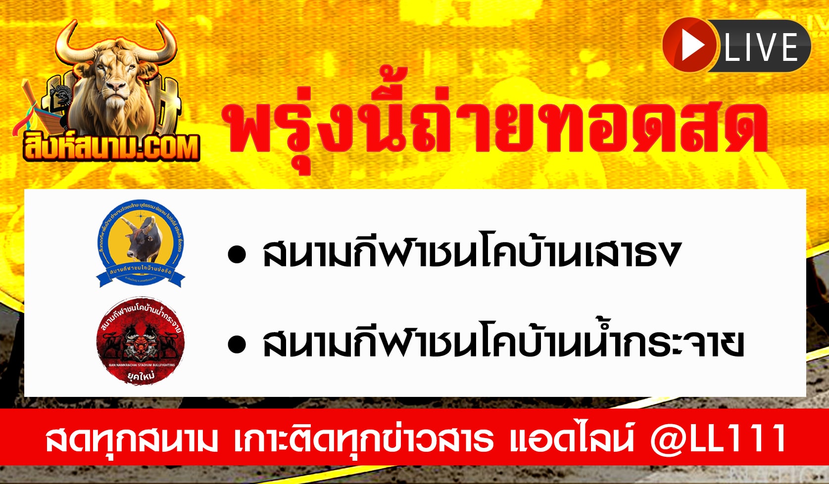 ถ่ายทอดสดวัว