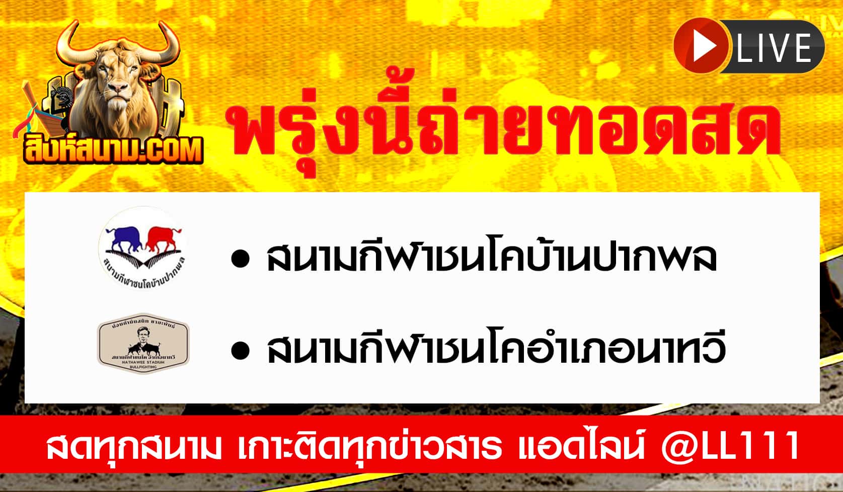 ถ่ายทอดสดวัว
