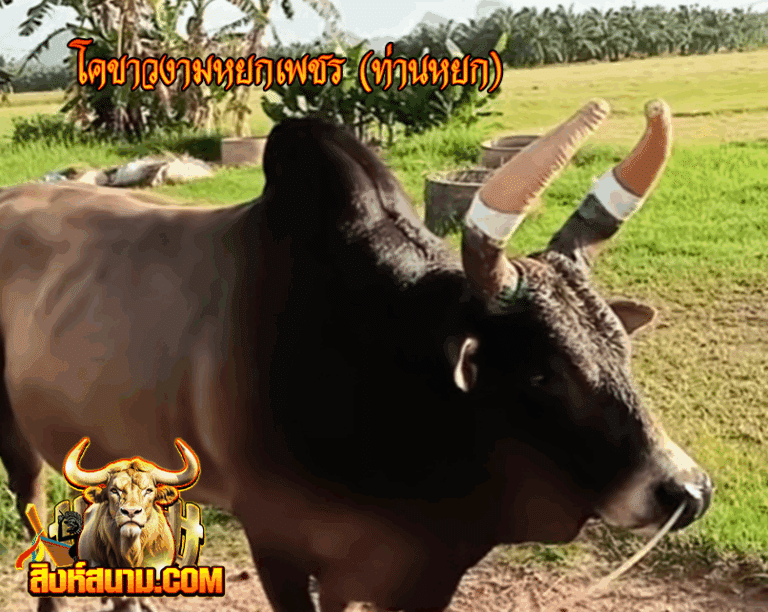 ท่านหยก