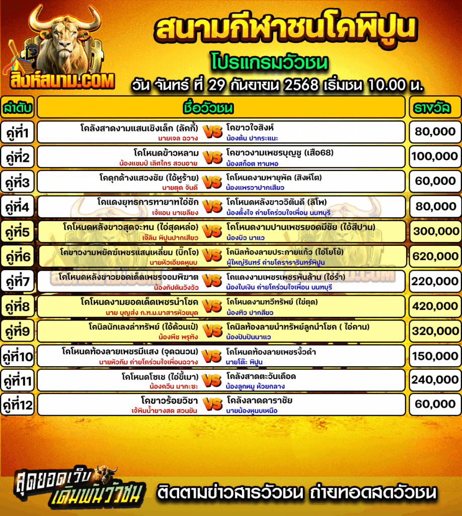 สนามพิปูน29