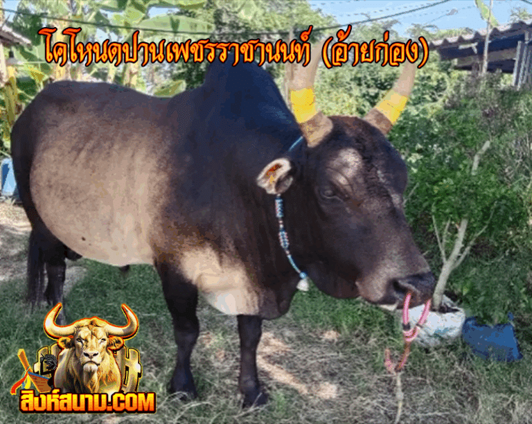 เดี๋ยว-21-9_0