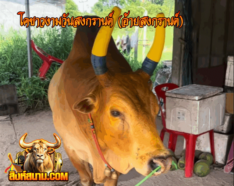 เดี๋ยว-Recovered-Recovered-Recovered