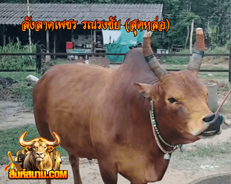 เดี๋ยว-_0