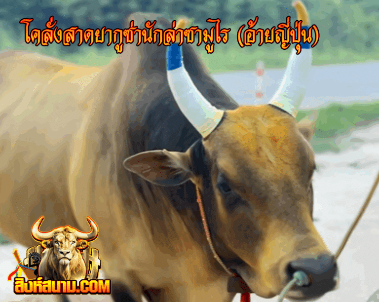 โคลั่งสาดยากูซ่านักล่าซามูไร (อ้ายญี่ปุ่น