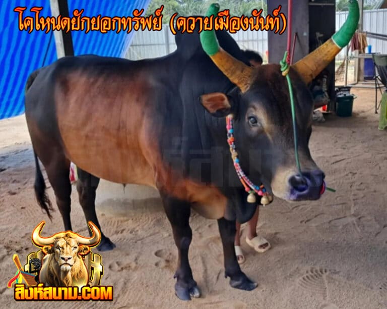 โคโหนดยักยอกทรัพย์ (ควายเมืองนันท์)