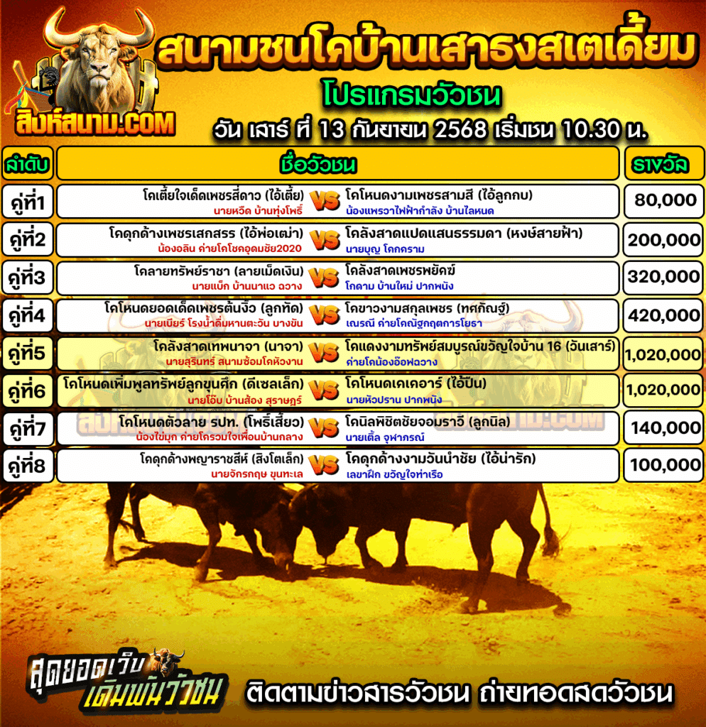 โปรแกรมบ้านเสาธง13