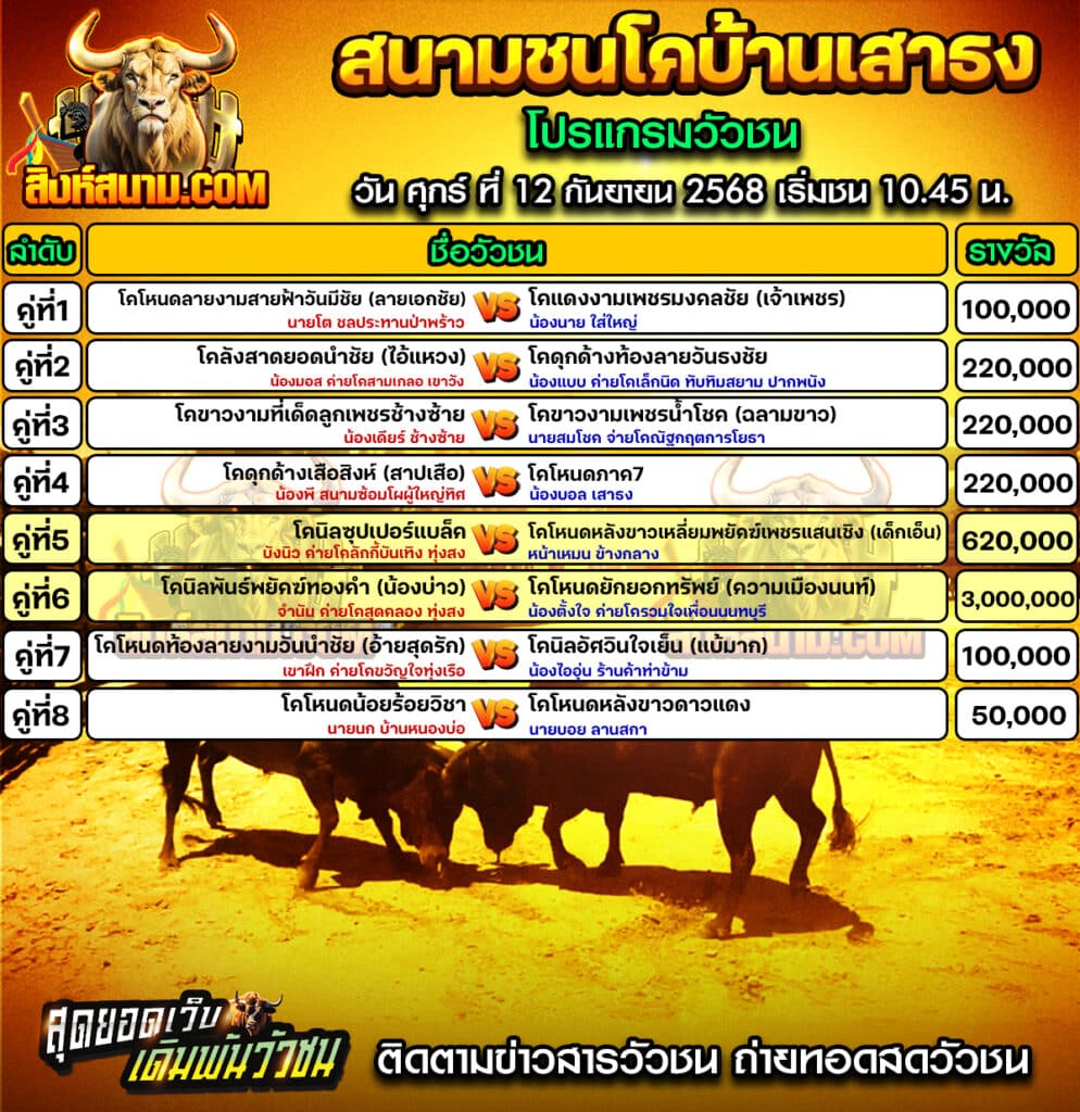 โปรแกรมเสาธง